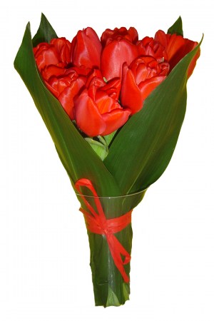 Bouquet de Tulipas IIIA